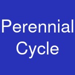 Perennial Cycle