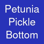 Petunia Pickle Bottom