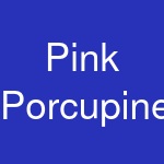 Pink Porcupine