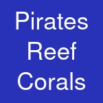 Pirates Reef Corals