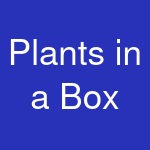 Plants in a Box