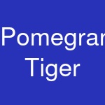 Pomegranate Tiger