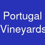 Portugal Vineyards