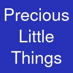 Precious Little Things