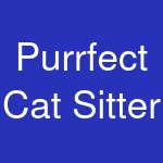 Purrfect Cat Sitter