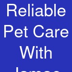 Reliable Pet Care With Jamae