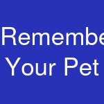 Remember Your Pet