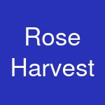 Rose Harvest