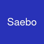 Saebo