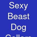 Sexy Beast Dog Collars