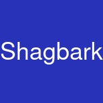 Shagbark