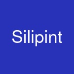 Silipint