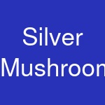 Silver Mushroom