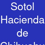 Sotol Hacienda de Chihuahua