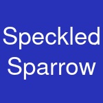 Speckled Sparrow