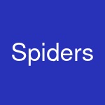 Spiders