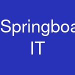 Springboard IT