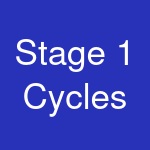 Stage 1 Cycles