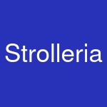 Strolleria