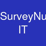 SurveyNuts IT