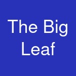 The Big Leaf