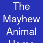 The Mayhew Animal Home