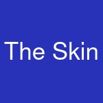 The Skin & Brow Room