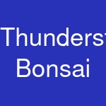 Thunderstruck Bonsai