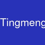 Tingmengte