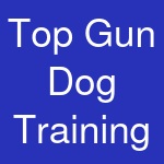 Top Gun Dog Training