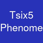 Tsix5 Phenomenal