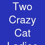 Two Crazy Cat Ladies