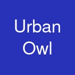 Urban Owl