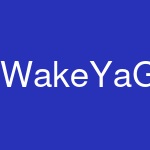 WakeYaGameUp