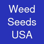 Weed Seeds USA