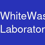 WhiteWash Laboratories