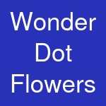 Wonder Dot Flowers