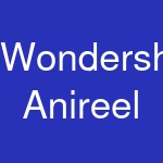 Wondershare Anireel