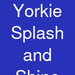 Yorkie Splash and Shine