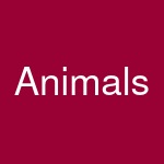 Animals & Pet Supplies