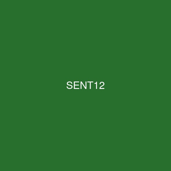 SENT12