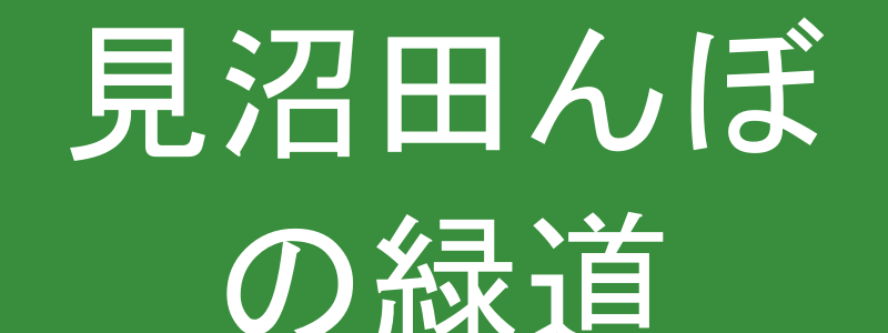 見沼田んぼの風景
