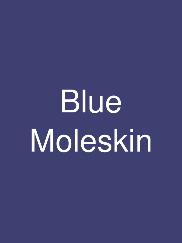 フレンチブルーモールスキンジャケット