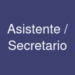 Asistente / Secretario