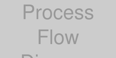 Process Flow Diagram