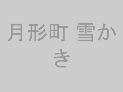 月形町 雪かき