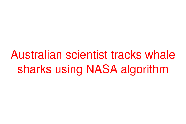 Australian scientist tracks whale sharks using NASA algorithm