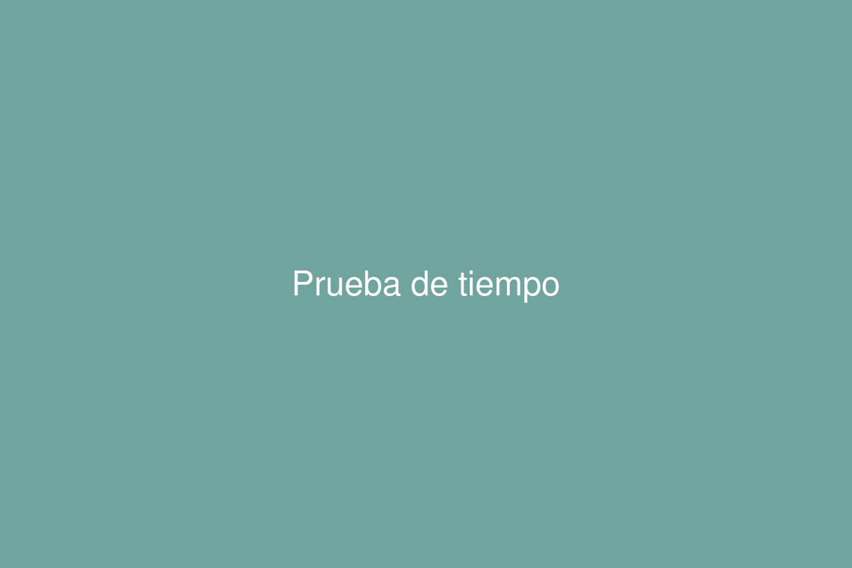 Prueba de tiempo