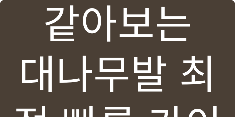 대나무발 추천 이미지