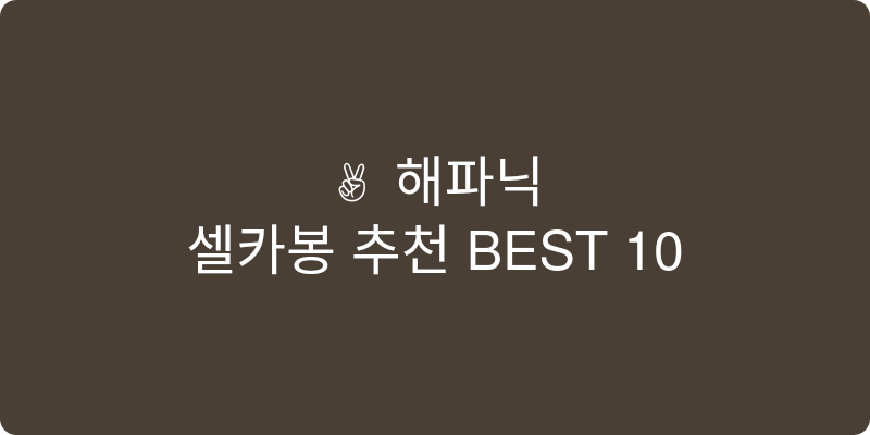 셀카봉 추천 이미지